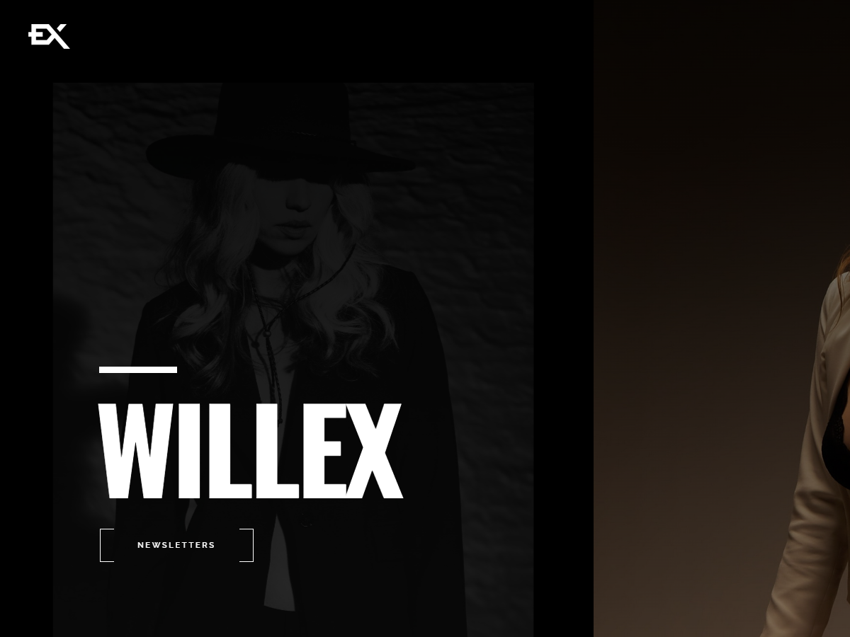 screenshot willex